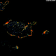 Image for article titled A new satellite can see through forest fires from space
